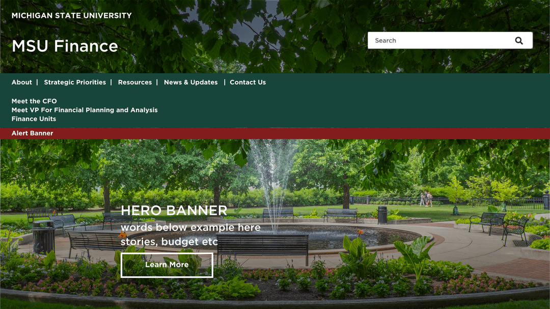 Navigation bar as outlined in MSU Finance’s Canva presentation.